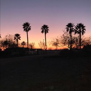 Meet your Posher, Jezzabella